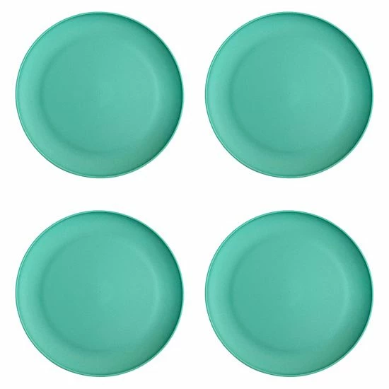 The Big One® 4-pc. Plastic Dinner Plate Set Coral