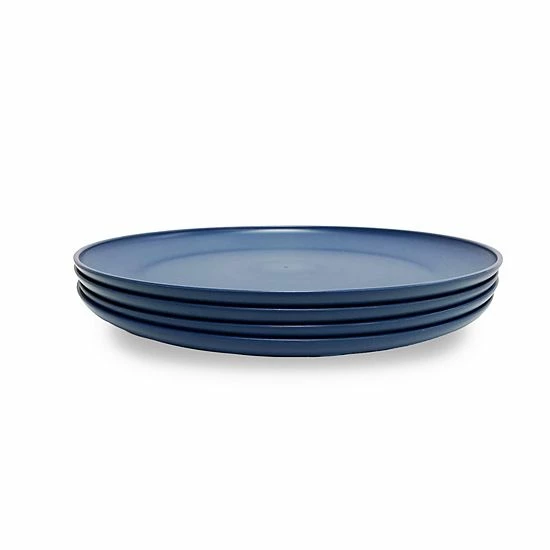 The Big One® 4-pc. Plastic Dinner Plate Set Coral - Image 2